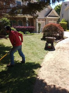 Landscaping in Gainesville, GA