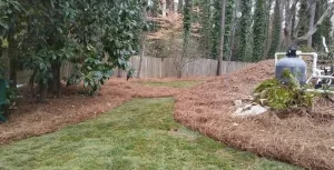 Landscaping in Gainesville, GA