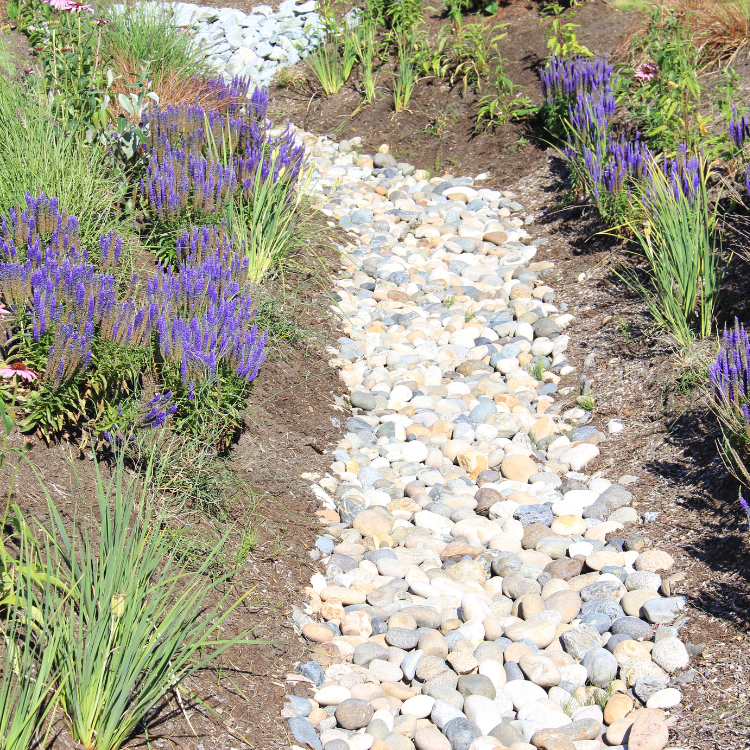 Drainage & Erosion Control in Gainesville, GA