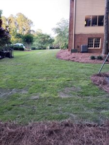 Landscaping in Gainesville, GA
